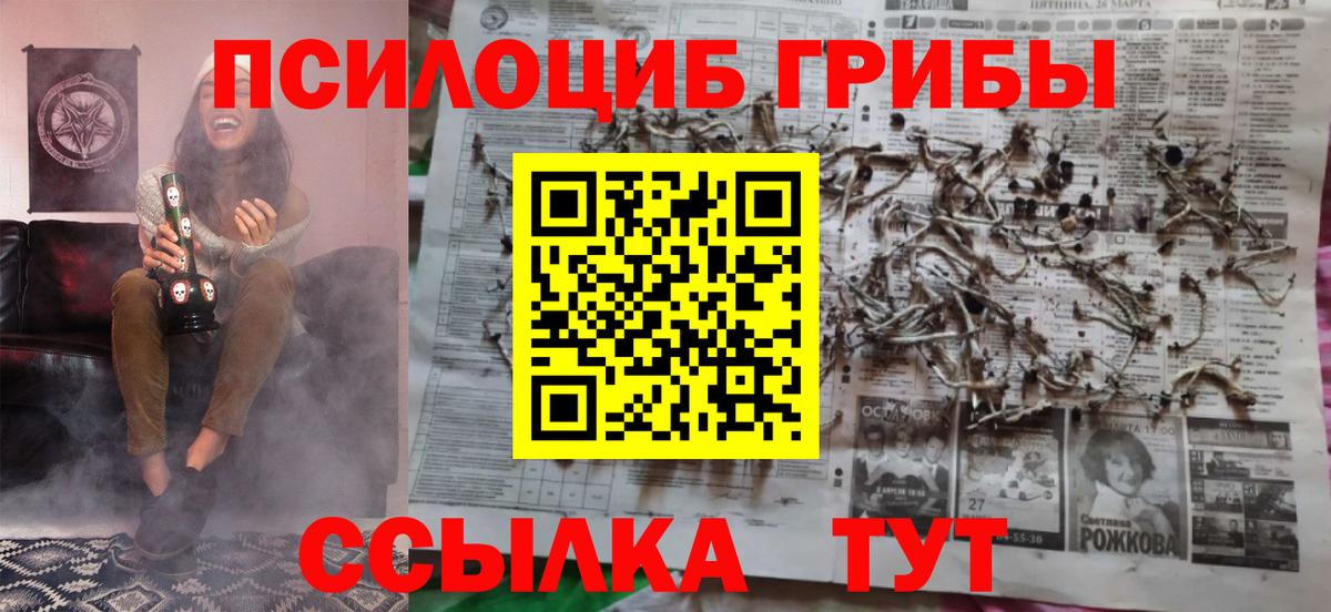 Псилоцибиновые грибы мицелий Заинск